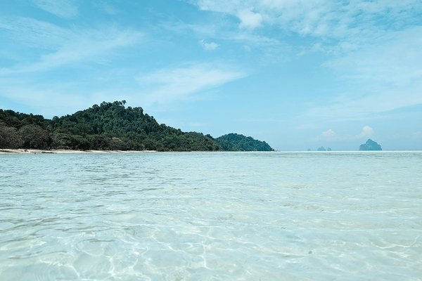 Quelles croisières offrent des ateliers de couture avec des créateurs de mode en Italie?