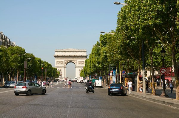 Comment choisir une croisière qui propose des excursions pour observer les grands requins blancs en Afrique du Sud?